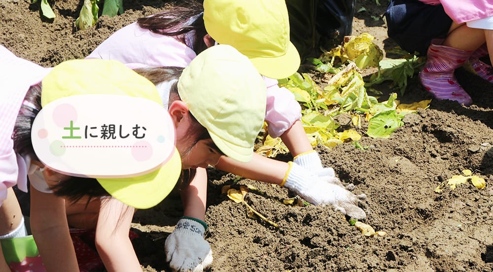 学校法人聖心学園